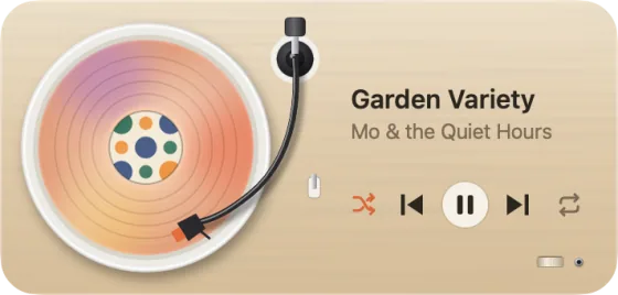 The widget as the Sunset Haze turntable